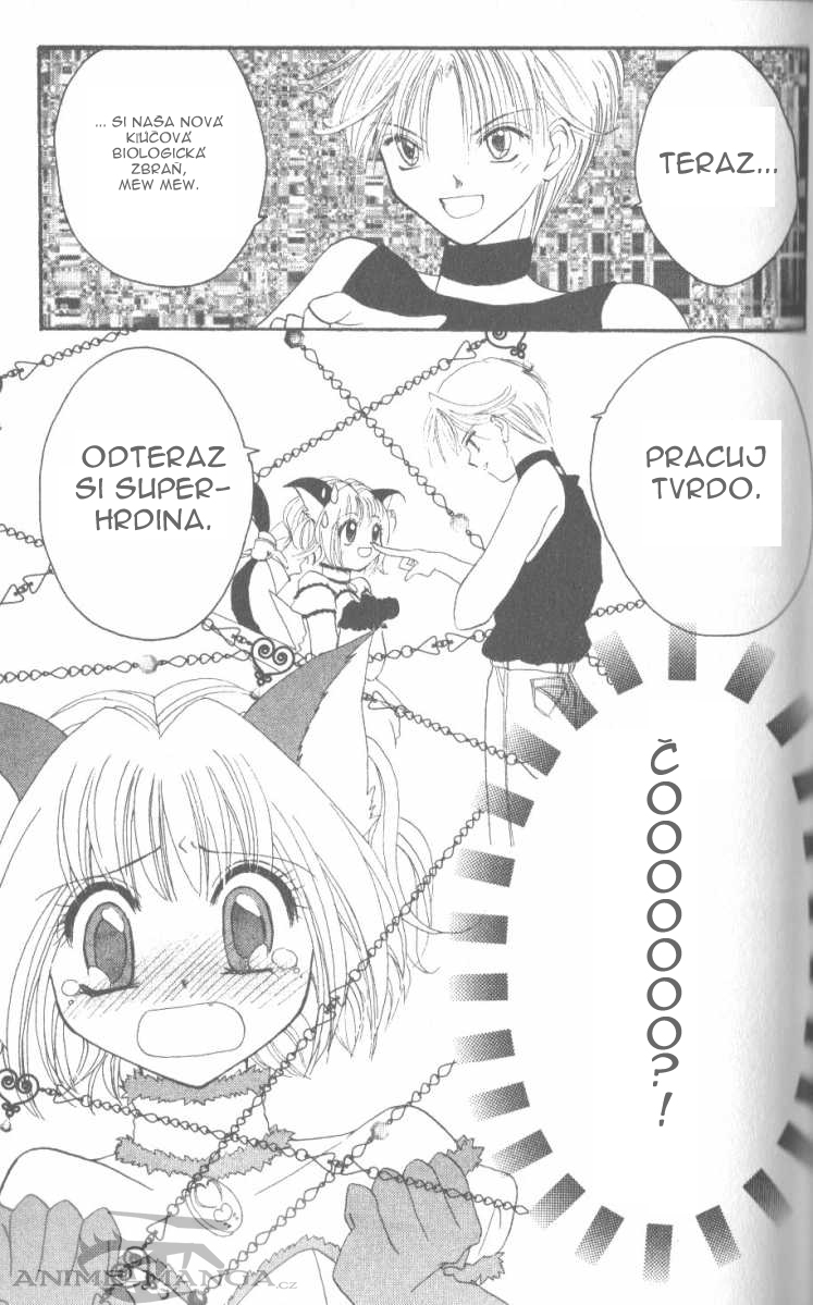 Tokyo Mew Mew 45.jpg